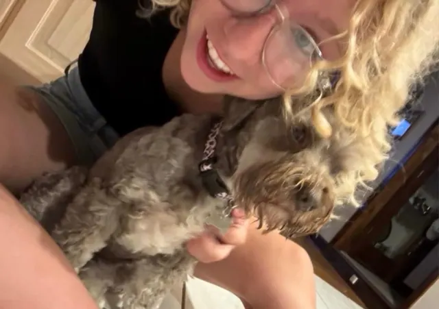 The walker grinning with a curly grey poodle mix